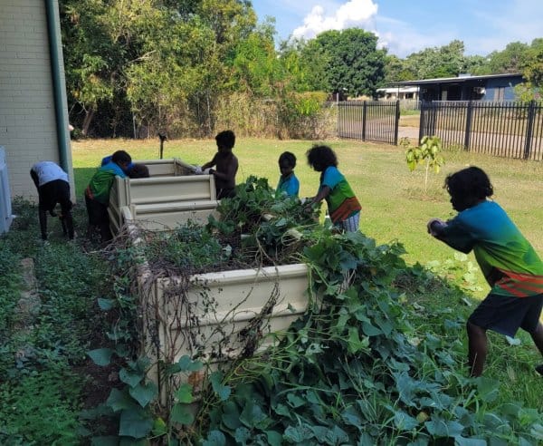 Children gardening together