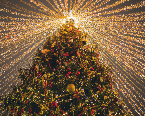 Christmas is coming! But not everyone feels the excitement Image