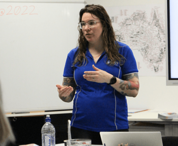 Effective Communication During Pregnancy in the ECEC Sector Image