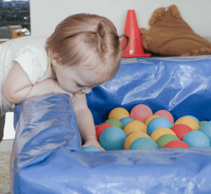 Playful Approaches with Infants and Toddlers Image